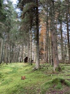 West Stormont Woodland Group