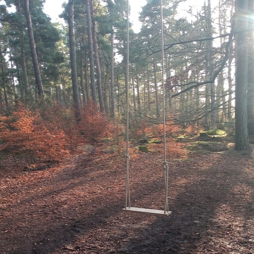 West Stormont Woodland Group