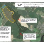 Five Mile Wood - Proposal