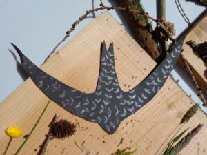 WSWG - Stanley BioBlitz