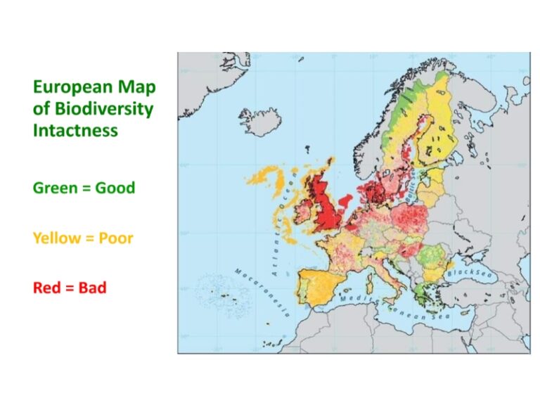 WSWG - Biodiversity Map